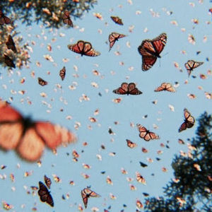 Meet your Posher, Save the